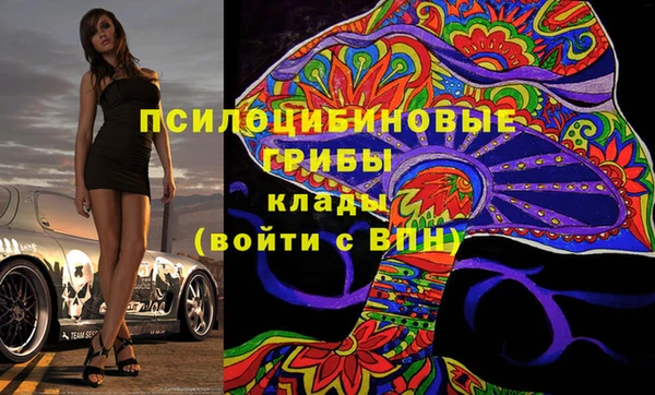 таблы Богородицк