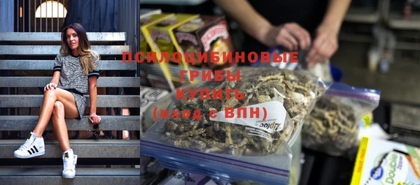 спиды Богородск