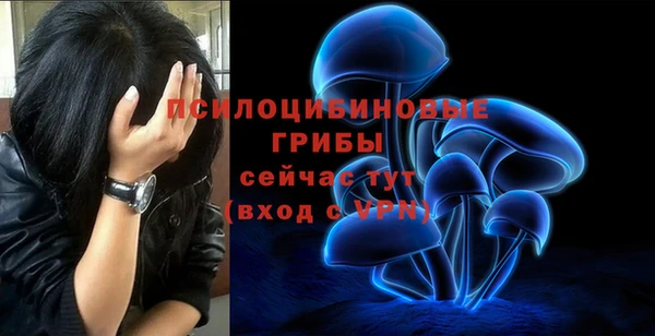 таблы Богородицк